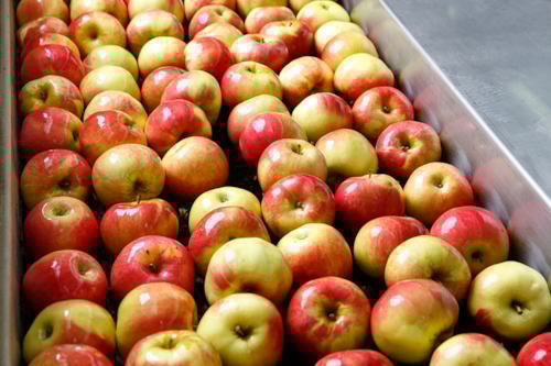Apples