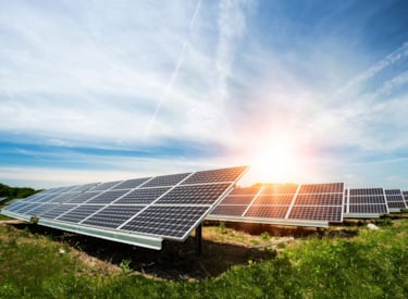 Zonnepanelen op veld