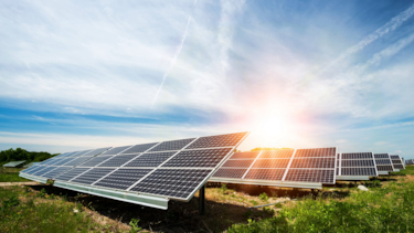 Zonnepanelen op veld