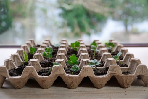 Circulair ondernemen meetbaar maken