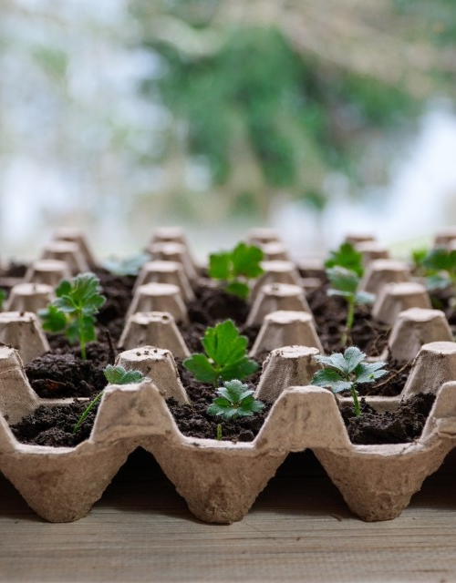 Making circular entrepreneurship measurable