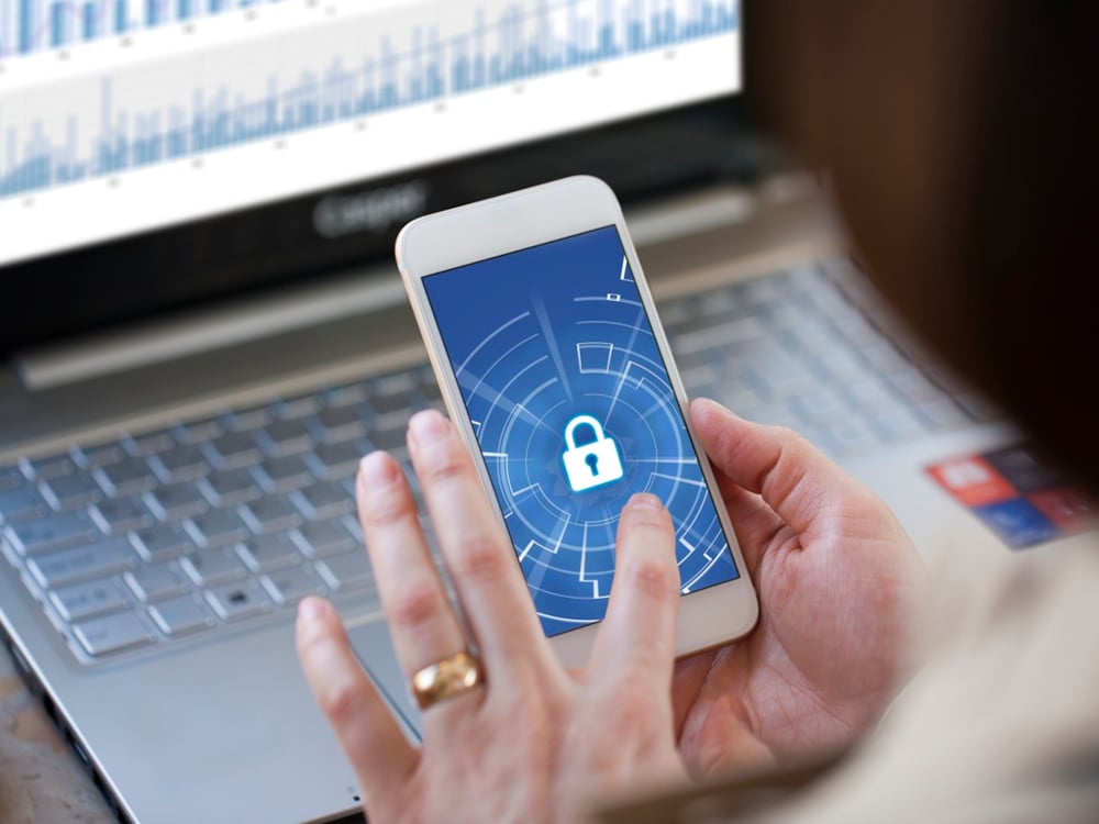 Information security shield