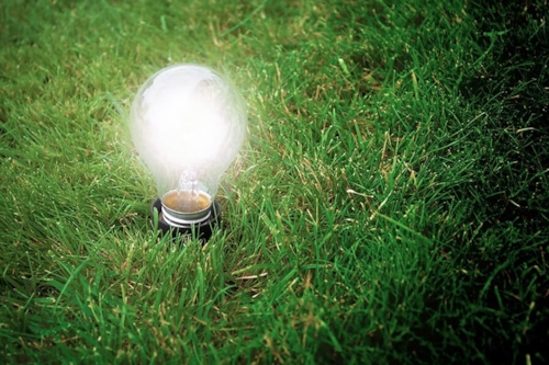 Orb in the Earth - Sustainability