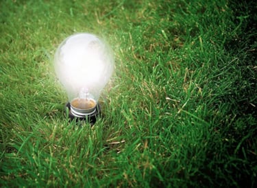 Orb in the Earth - Sustainability