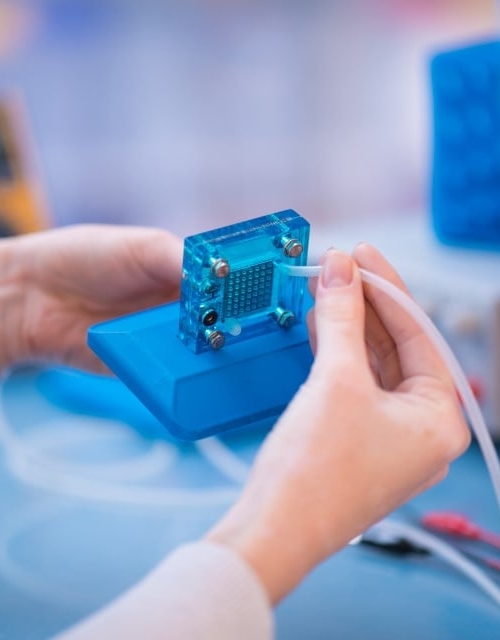 Hydrogen fuel cell testing