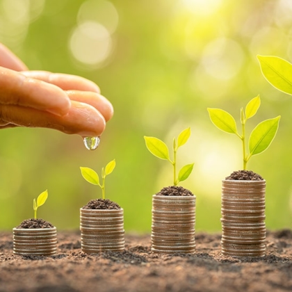 De groei van geld en natuur