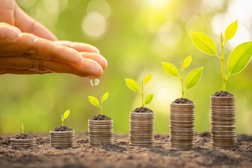 De groei van geld en natuur