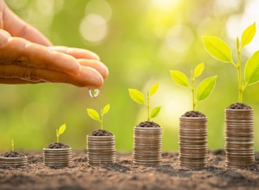 De groei van geld en natuur