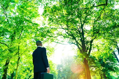 Zakenman die in een bos naar bomen kijkt