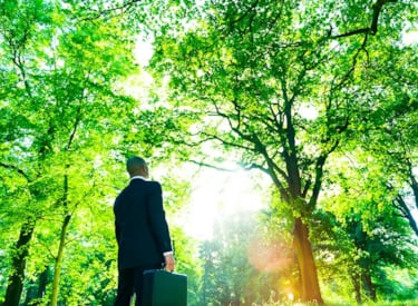 Zakenman die in een bos naar bomen kijkt