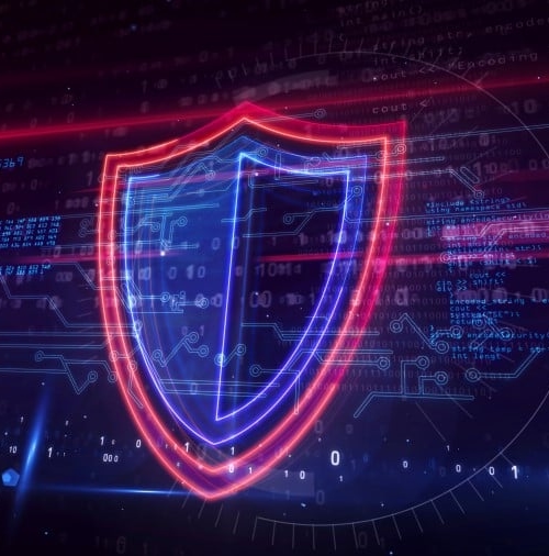 Information security shield