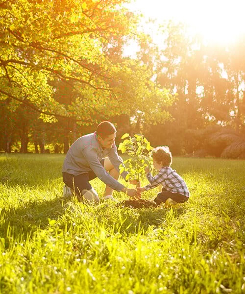 Vader en zoon planten een boom