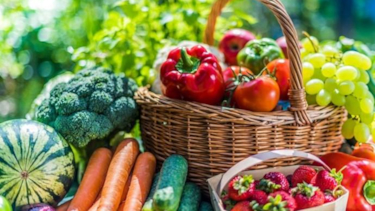 Vegetables and berries are displayed next to and in a basket.