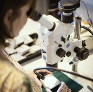 Kiwa expert looks into a microscope