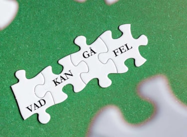 Pusselbitar som visar texten: Vad kan gå fel?