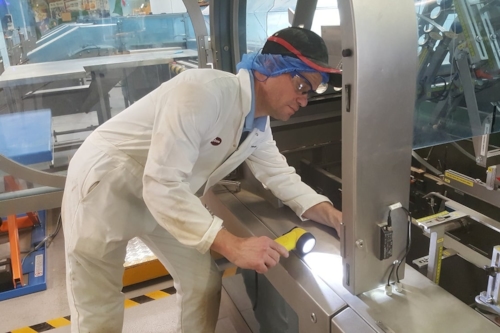Employee conducting a pest inspection in a factory