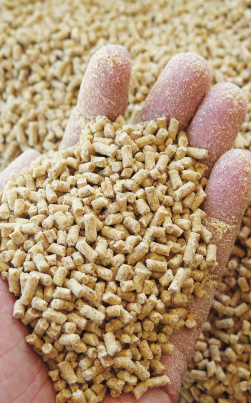 animal feed