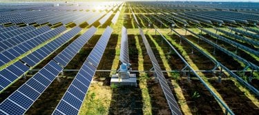 utility scale zoomed in rows with sunshine.jpg